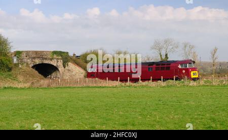 Heritage Diesel No D1015 Champion de l'Ouest quittant Westbury pour Plymouth.(Voir remarque).5.04.2009. Banque D'Images