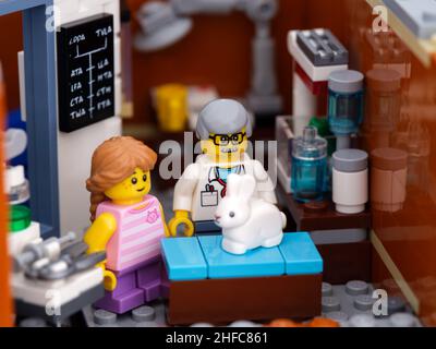 Tambov, Fédération de Russie - 08 janvier 2022 Un lapin Lego debout sur une table d'inspection dans une clinique vétérinaire avec son propriétaire à proximité. Banque D'Images