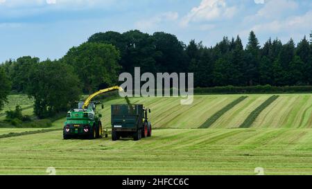 1 production de foin de tracteurs, travail dans des champs de ferme pittoresques, conduite avec une remorque de remplissage d'ensileuse John Deere (ensilage d'herbe coupée) - Yorkshire Angleterre Royaume-Uni. Banque D'Images