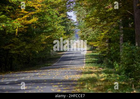Autoroute à travers la forêt avec des arbres Banque D'Images