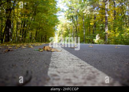Voie blanche sur l'autoroute.Mise au point sélective. Banque D'Images
