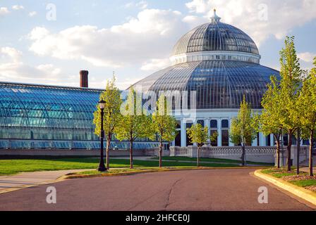 Como Park Conservatory, St Paul, Minnesota Banque D'Images