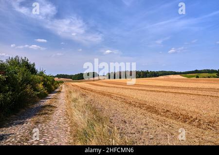 Champs arables après récolte et route pavée en été en Pologne Banque D'Images