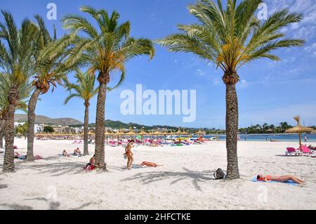 Platja d'Alcudia, Port d'Alcudia, Mallorca Alcudia, municipalité, Îles Baléares, Espagne Banque D'Images