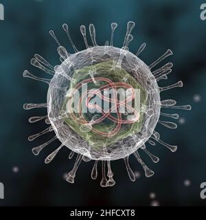Illustration d'un seul virus flottant représenté avec l'enveloppe protéinique environnante qui encapsule le capside icosaédrique interne. Banque D'Images