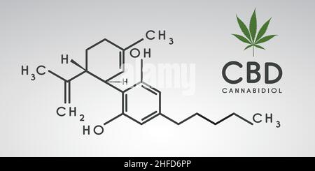 formule cbd.Composé de structure de molécule de cannabidiol.Molécules de marijuana médicale, formule biochimique du cannabidiol.Dépendance chimique.Vecteur illus Illustration de Vecteur