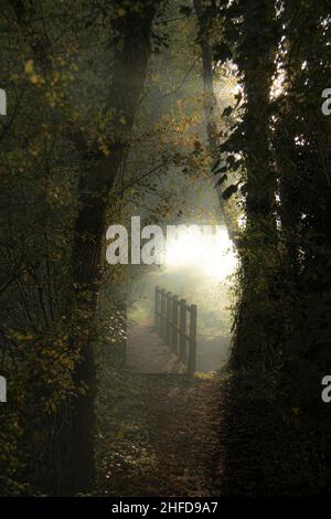 Lors d'une promenade matinale au début de l'automne à Aldborough, dans le nord de Norfolk, une scène de campagne de brume magique a glissé au-dessus du pont au moulin par Scarrow Beck. Banque D'Images