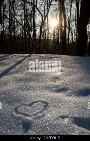 Forme de coeur avec le doigt dans la neige blanche brillante.Le soleil couchant brille à travers les arbres.Froid jour d'hiver.Pas d'animaux. Banque D'Images