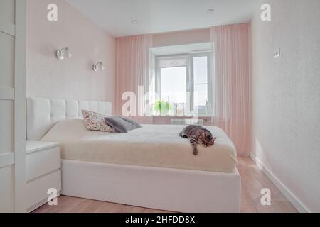 Intérieur de la chambre aux tons roses avec un ensemble d'oreillers sur le lit devant la fenêtre.Appartements design intérieur décoration concept.Chat allongé sur le lit. Banque D'Images