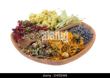 Assiette en bois d'herbes médicinales, isolée sur blanc.Plantes curatives, ingrédients pour la fabrication de médicaments à base de plantes, thé ou infusion.Alternative et Banque D'Images