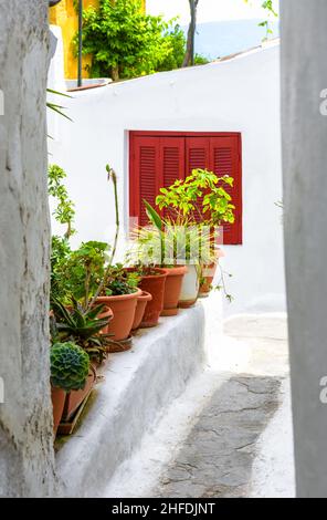 Rue à Anafiotika, quartier de Plaka à Athènes, Grèce, Europe.Les vieilles maisons avec l'aménagement paysager sont une attraction touristique d'Athènes.Belle allée étroite, Banque D'Images