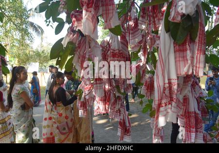 Guwahati, Guwahati, Inde.15th janvier 2022.Les dévotés lient le gomacha assamois dans l'arbre banayen le premier jour du mois Saint assamois au temple de Garakhiya Goshai à Sorhog dans le district de Barpeta d'Assam Inde le samedi 15th janvier 2022.croyance ancienne que le fianlage du gomacha dans l'arbre banayen accomplissent tous les rêves des dévotés (Credit image:© Dasarath Deka/ZUMA Press Wire) Banque D'Images