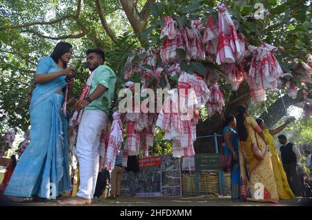 Guwahati, Guwahati, Inde.15th janvier 2022.Les dévotés lient le gomacha assamois dans l'arbre banayen le premier jour du mois Saint assamois au temple de Garakhiya Goshai à Sorhog dans le district de Barpeta d'Assam Inde le samedi 15th janvier 2022.croyance ancienne que le fianlage du gomacha dans l'arbre banayen accomplissent tous les rêves des dévotés (Credit image:© Dasarath Deka/ZUMA Press Wire) Banque D'Images