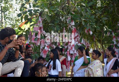 Guwahati, Guwahati, Inde.15th janvier 2022.Les dévotés lient le gomacha assamois dans l'arbre banayen le premier jour du mois Saint assamois au temple de Garakhiya Goshai à Sorhog dans le district de Barpeta d'Assam Inde le samedi 15th janvier 2022.croyance ancienne que le fianlage du gomacha dans l'arbre banayen accomplissent tous les rêves des dévotés (Credit image:© Dasarath Deka/ZUMA Press Wire) Banque D'Images