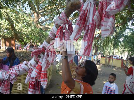 Guwahati, Guwahati, Inde.15th janvier 2022.Les dévotés lient le gomacha assamois dans l'arbre banayen le premier jour du mois Saint assamois au temple de Garakhiya Goshai à Sorhog dans le district de Barpeta d'Assam Inde le samedi 15th janvier 2022.croyance ancienne que le fianlage du gomacha dans l'arbre banayen accomplissent tous les rêves des dévotés (Credit image:© Dasarath Deka/ZUMA Press Wire) Banque D'Images