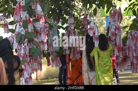 Guwahati, Guwahati, Inde.15th janvier 2022.Les dévotés lient le gomacha assamois dans l'arbre banayen le premier jour du mois Saint assamois au temple de Garakhiya Goshai à Sorhog dans le district de Barpeta d'Assam Inde le samedi 15th janvier 2022.croyance ancienne que le fianlage du gomacha dans l'arbre banayen accomplissent tous les rêves des dévotés (Credit image:© Dasarath Deka/ZUMA Press Wire) Banque D'Images