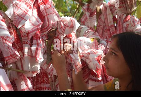 Guwahati, Guwahati, Inde.15th janvier 2022.Les dévotés lient le gomacha assamois dans l'arbre banayen le premier jour du mois Saint assamois au temple de Garakhiya Goshai à Sorhog dans le district de Barpeta d'Assam Inde le samedi 15th janvier 2022.croyance ancienne que le fianlage du gomacha dans l'arbre banayen accomplissent tous les rêves des dévotés (Credit image:© Dasarath Deka/ZUMA Press Wire) Banque D'Images