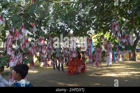 Guwahati, Guwahati, Inde.15th janvier 2022.Les dévotés lient le gomacha assamois dans l'arbre banayen le premier jour du mois Saint assamois au temple de Garakhiya Goshai à Sorhog dans le district de Barpeta d'Assam Inde le samedi 15th janvier 2022.croyance ancienne que le fianlage du gomacha dans l'arbre banayen accomplissent tous les rêves des dévotés (Credit image:© Dasarath Deka/ZUMA Press Wire) Banque D'Images
