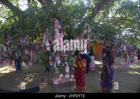 Guwahati, Guwahati, Inde.15th janvier 2022.Les dévotés lient le gomacha assamois dans l'arbre banayen le premier jour du mois Saint assamois au temple de Garakhiya Goshai à Sorhog dans le district de Barpeta d'Assam Inde le samedi 15th janvier 2022.croyance ancienne que le fianlage du gomacha dans l'arbre banayen accomplissent tous les rêves des dévotés (Credit image:© Dasarath Deka/ZUMA Press Wire) Banque D'Images