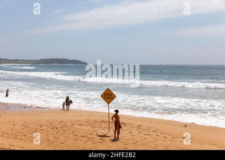 Toutes les plages de la région du conseil des plages du nord de Sydney ont été fermées aujourd'hui à la suite des avertissements de tsunami pour la côte est de l'Australie, photographiés des panneaux de fermeture de plage érigés à Dee Why Beach, qui ont été ignorés par certains.Credit Martin Berry@ alamy Live news. Banque D'Images