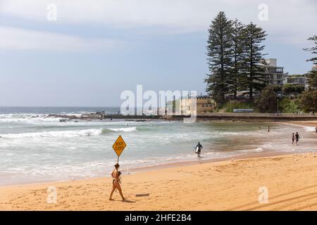 Toutes les plages de la région du conseil des plages du nord de Sydney ont été fermées aujourd'hui à la suite des avertissements de tsunami pour la côte est de l'Australie, photographiés des panneaux de fermeture de plage érigés à Dee Why Beach, qui ont été ignorés par certains.Credit Martin Berry@ alamy Live news. Banque D'Images