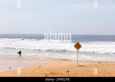 Dee Why Beach Sydney, alerte tsunami émise et toutes les plages de la côte est de Nouvelle-Galles du Sud fermées, panneau de plage fermé érigé, Dee Why, Sydney, Australie Banque D'Images