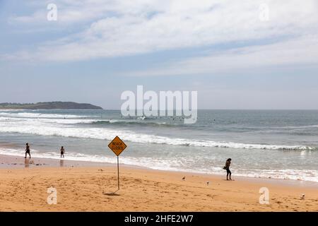 Dee Why Beach à Sydney, fermé en raison de l'avertissement du tsunami en janvier 2022, jour d'été, Sydney, Australie Banque D'Images