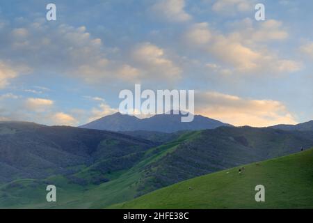 Coucher de soleil d'hiver sur le Mont Diablo via la réserve régionale de Round Valley, Contra Costa County, Californie, États-Unis. Banque D'Images