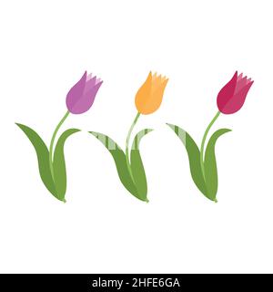Tulipe à fleurs printanières, couleur vectorielle isolée, décoration Décoration et imprimé Clipart Illustration de Vecteur