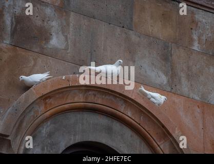 Trois Pigeons sont assis sur le trou de l'église Banque D'Images