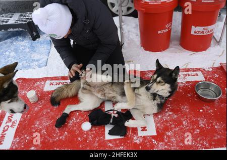 France.Isere (38) Valerie Maumon, championne française de luge à mi-distance, vit à une centaine de miles par heure.A 47 ans, une musher passionnée, elle jongle entre les deux Banque D'Images