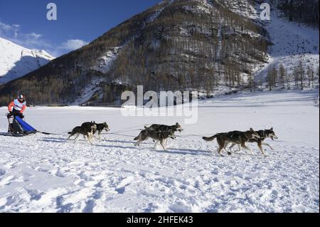 France.Isere (38) Valerie Maumon, championne française de luge à mi-distance, vit à une centaine de miles par heure.A 47 ans, une musher passionnée, elle jongle entre les deux Banque D'Images