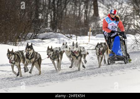 France.Isere (38) Valerie Maumon, championne française de luge à mi-distance, vit à une centaine de miles par heure.A 47 ans, une musher passionnée, elle jongle entre les deux Banque D'Images