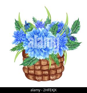 Bouquet de fleurs de dahlia bleues. Bouquet floral dans le panier. illustration aquarelle pour l'impression, l'étiquette, la carte, l'anniversaire, l'anniversaire, fête des mères. Banque D'Images