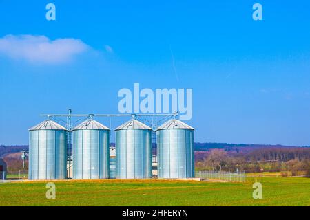 Quatre silos d'argent dans le champ sous ciel clair Banque D'Images