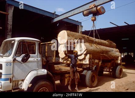 Déchargement de troncs d'arbres dans une scierie au Ghana, en Afrique de l'Ouest. Banque D'Images