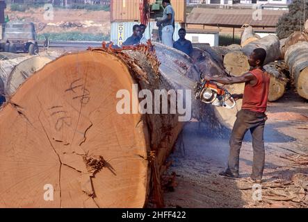 Un travailleur de scierie coupe des grumes dans une scierie au Ghana, en Afrique de l'Ouest. Banque D'Images