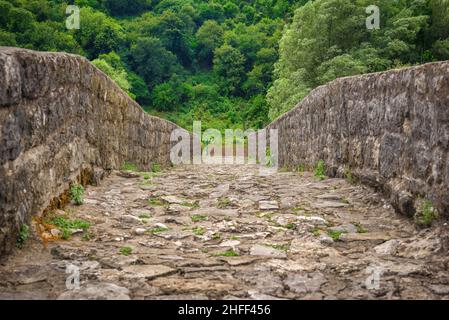 Vieux pont en pierre Stari plus au-dessus de la rivière Crnojevica au Monténégro Banque D'Images