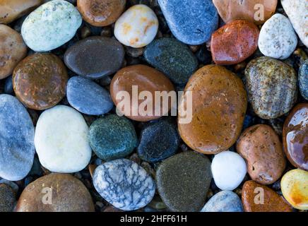 Mouillez des pierres rondes colorées sur la rive du lac Baikal.Arrière-plan naturel avec mise au point sélective. Banque D'Images