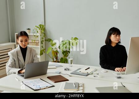 Portrait minimal de deux jeunes femmes asiatiques utilisant des ordinateurs dans un bureau moderne, espace de copie Banque D'Images