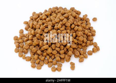 Aliments secs pour chats, petits granules sur fond blanc.Nourriture pour animaux vue rapprochée du dessus.Nourriture granulée pour chiens et chiots. Banque D'Images