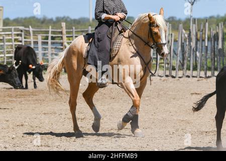 Jeune fille à cheval brun Banque D'Images