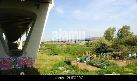 Piliers ou colonnes d'appui d'un pont ferroviaire au-dessus de la rivière Llobregat dans le Delta del Llobregat, Sant Boi de Llobregat, Barcelone, Catalunya Banque D'Images