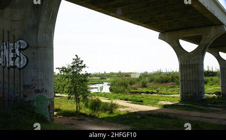 Piliers ou colonnes d'appui d'un pont ferroviaire au-dessus de la rivière Llobregat dans le Delta del Llobregat, Sant Boi de Llobregat, Barcelone, Catalunya Banque D'Images