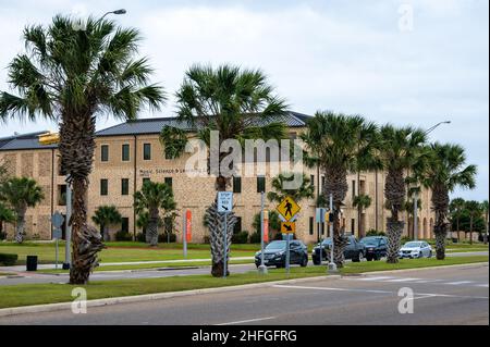 Campus de l'Université du Texas à Rio Grande Valley.Brownsville, Texas, États-Unis. Banque D'Images