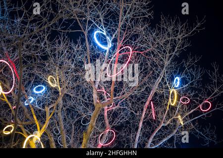 Guirlande multicolore sous forme d'anneau .Arbre décoré pour les vacances Banque D'Images