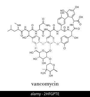 Glycopeptide Vancomycine antibiotique (classe) molécule. Formule topologique. Illustration de Vecteur