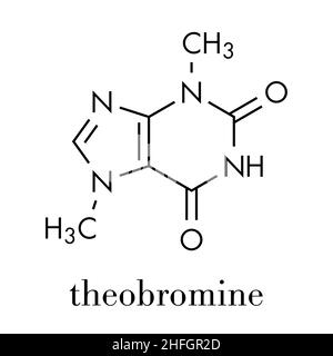 La théobromine (xantheose) molécule alcaloïde de chocolat. Présente dans le cacao, le thé, etc. Aussi utilisé comme médicament. Formule topologique. Illustration de Vecteur