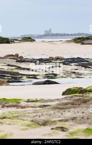 Île Tathiou et Tour Vauban à Saint Vaast la Hougue en Normandie France Europe Banque D'Images