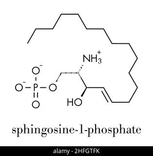 La Sphingosine-1-phosphate (S1P) molécule de signalisation. Formule topologique. Illustration de Vecteur